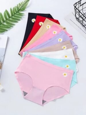 A variety of seamless silk panties in different colors arranged neatly with a plant and a notepad in the background.